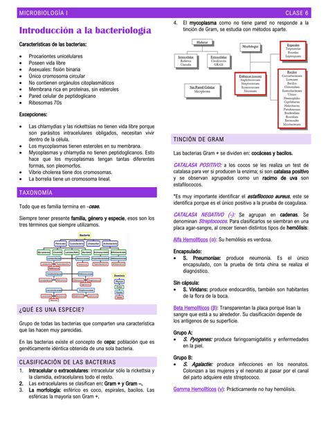 Solution Introducci N A La Bacteriolog A Microbiolog A Studypool