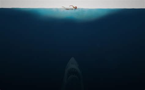 Shark Week Wallpapers - Wallpaper Cave