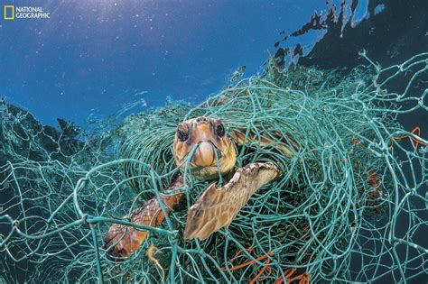 Plastic Pollution Images Of A Global Problem Bbc News