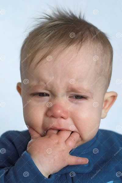 Crying Baby Stock Photo Image Of Sadness Bite Cranky 1936300