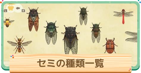 【あつ森】セミの種類一覧と値段 離島での捕まえ方【あつまれどうぶつの森】 ゲームウィズ