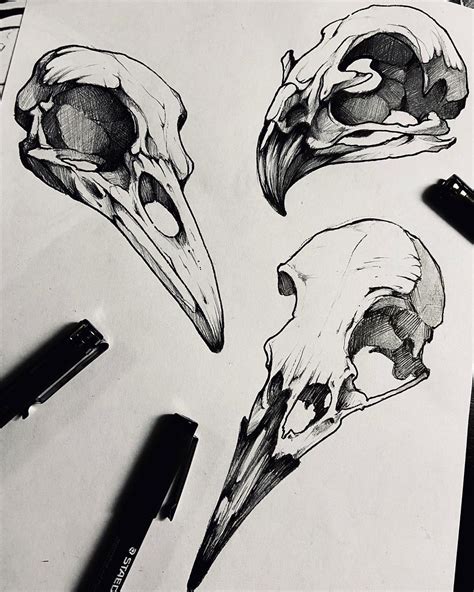 ⚔️ Seno ⚔️ On Instagram Bird Skull 🖤 Flash Dispo Pour La