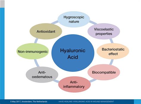 Discover Hyaluronic Acid HA In Wound Healing Fidiawoundcare