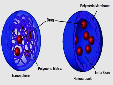 Schematics Representation Of Polymeric Nanoparticles Nano Spheres And