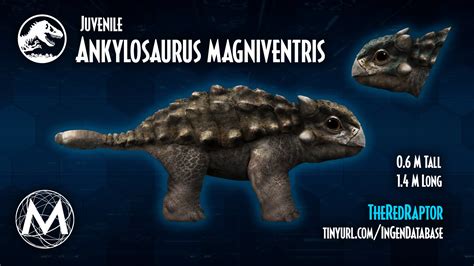 Ankylosaurus Magniventris