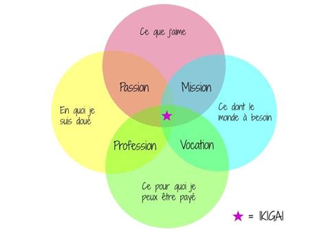 Comment Trouver Son Ikigai Et Son Chemin De Vie Exemple Chemin