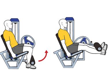 Extension De Piernas En Maquina Entrenamientos