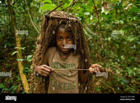 The Life Of The Bayaka Pygmies In The Equatorial Rainforest Central