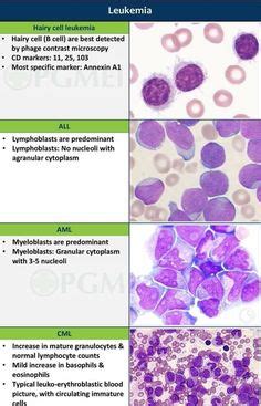 17 Hematology Slides ideas | hematology, medical laboratory technician ...