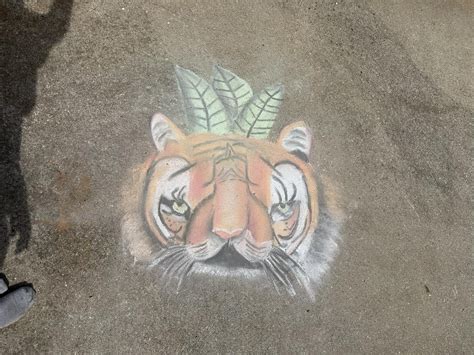 Congressional Attacks on Endangered Species, New ESC Film on Colorado