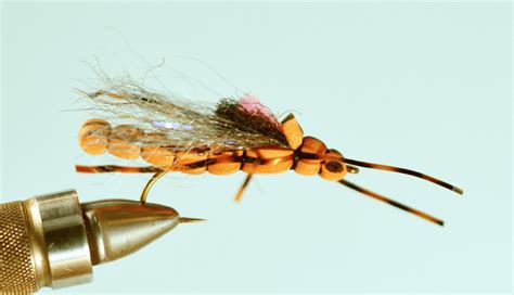 Top 7 Salmon Fly Patterns - The Missoulian Angler Fly Shop