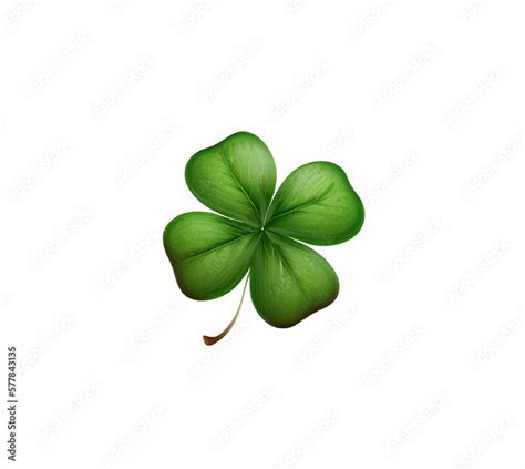 Four Leaf Realistic Clover Leaf Isolated On White Background Vector