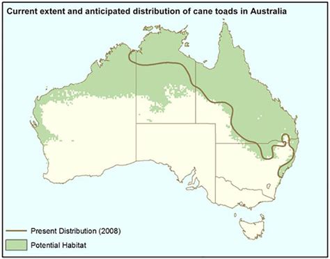 Cane Toad Distribution Map