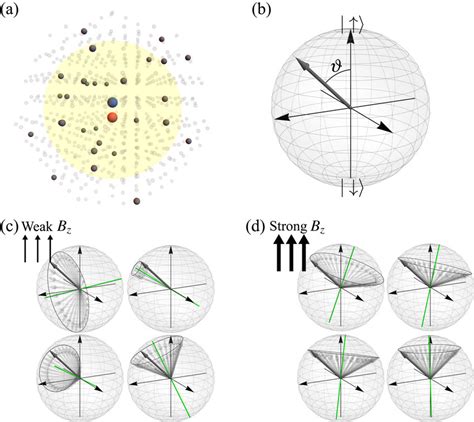 Polarization And Precession Of The Nuclear Spin Bath A Dnp Transfers