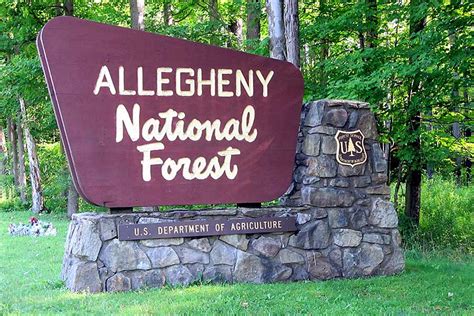 11 Camping Destinations In The Allegheny National Forest Van Camping Life