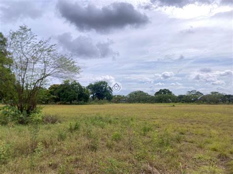 Purchase 9 63 Acre Farm With Potential For Real Estate Development In