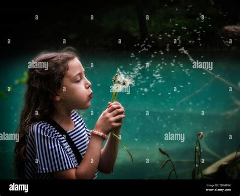 Girl Blowing Dandelion Clocks Stock Photo Alamy