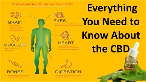 Everything You Need To Know About The Cbd Youtube