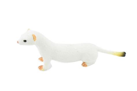 Mammals - Mustelids - Weasel, Stoat - Collectible Wildlife Gifts