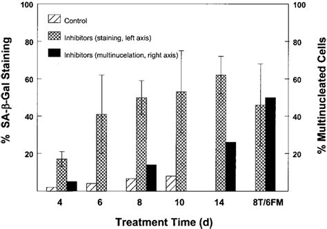 Quantitation Of The Effects Of Polyamine Depletion On The Expression Of