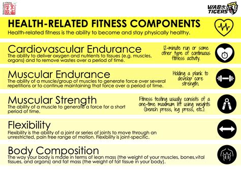 components  health related fitness txxsrn