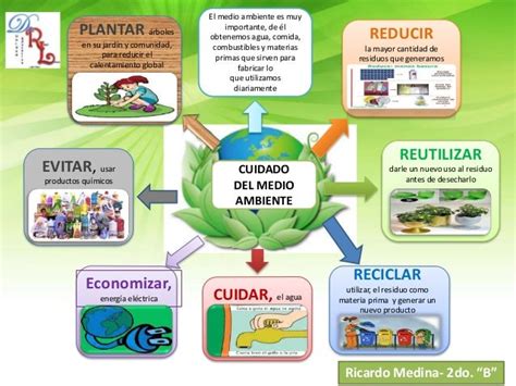 Cuidados Del Medio Ambiente