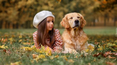 Dziewczynka w białym berecie i golden retriever na łące