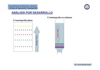 Tecnicas De Separacion Cromatografica Ppt