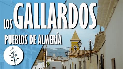 Descubre las costumbres y tradiciones únicas de Gallardos un vistazo a