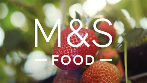 M S Red Diamond Strawberries Farm To Foodhall M S Food Youtube