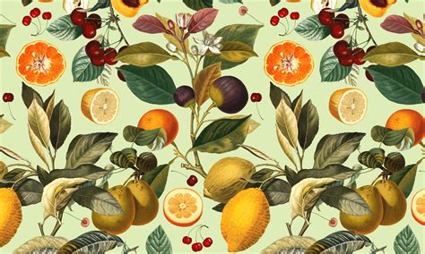 Citrus Wallpaper is the Juicy New Trend | Wallsauce UK