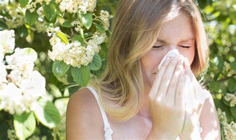 Pollen level forecast: Does your area have a high pollen count ...