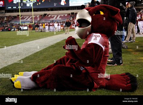 Temple owls mascot hi-res stock photography and images - Alamy