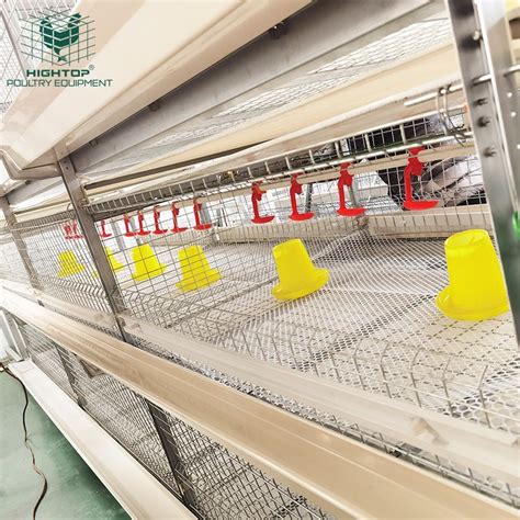 Hot Dip Galvanized Broiler Poultry Chicken Farm H Type Broiler Chicken