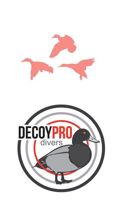 Duck Decoys: A History – DesertDivers