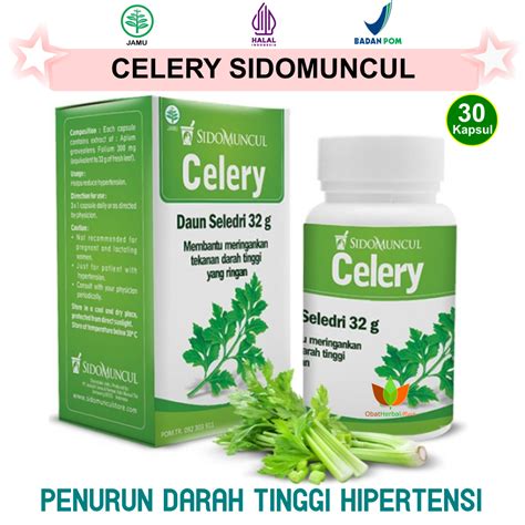 Jual 30 Kapsul Celery Sidomuncul Cellery Seleri Daun Seledri Obat