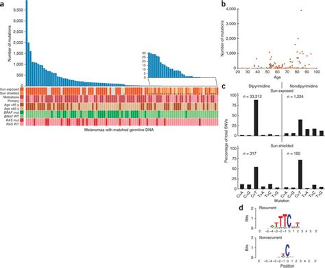 Mutation Spectrum In Melanoma Samples A Numbers Of Somatic