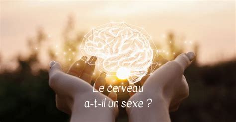 Le Cerveau A T Il Un Sexe Catherine Vidal Kiffe Ton Cycle