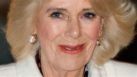 This Is What Camilla Queen Consort Eats In A Day