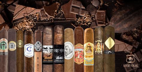 13 Best Chocolate Cigars 2024 Update Lucky Cigar