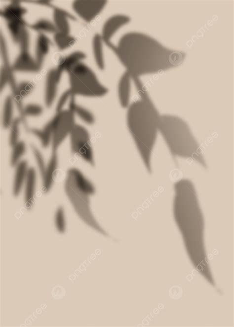 Plant Leaf Shadow Background Wallpaper Image For Free Download Pngtree