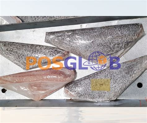 Demersal Fish - PT. Portal Binis Global