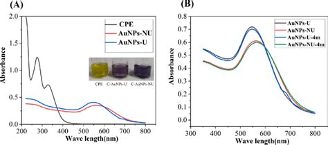 Characterization Of Aunps Synthesized By Cpe A Uv Vis Absorption