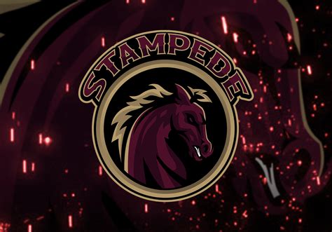 National Championship Sports Baseball Stampede U D