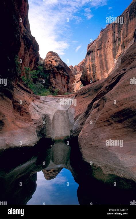 Pools In Narrow Canyon Red Cliffs Recreation Area Utah S Dixie Near St