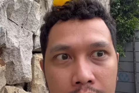 Profil Dan Biodata Agung Karmalogy TikToker Yang Diduga Sindir Meyden