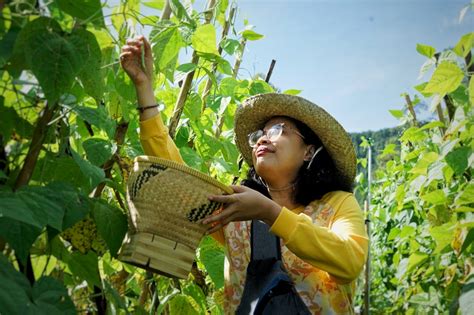 Merasakan Pengalaman Menjadi Petani Care Visit Fun Farming