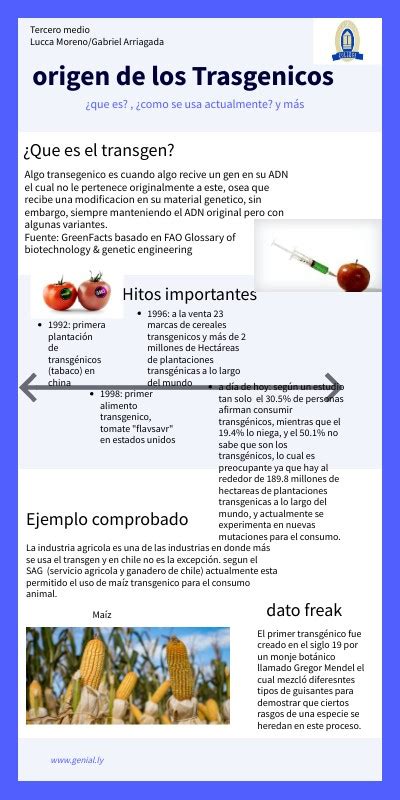 Infograf A Alimentos Transg Nicos By Gabriel Arriagad On Genially