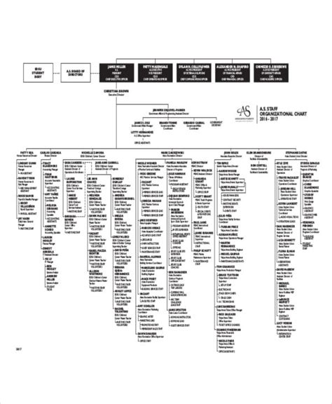 Organizational Chart - 17+ Examples, Format, Pdf | Examples