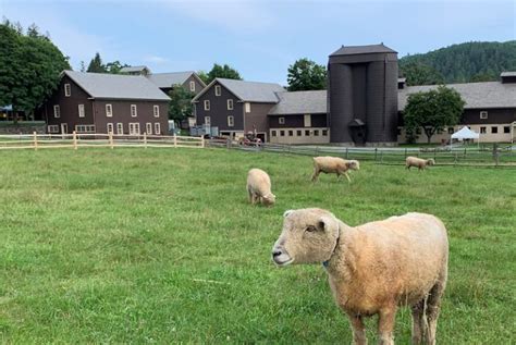 Billings Farm and Museum - Billings Farm Woodstock, Vermont